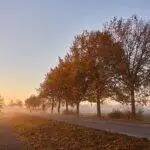 Prototyping Shape Memory Alloys for Adaptive Vehicle Structures